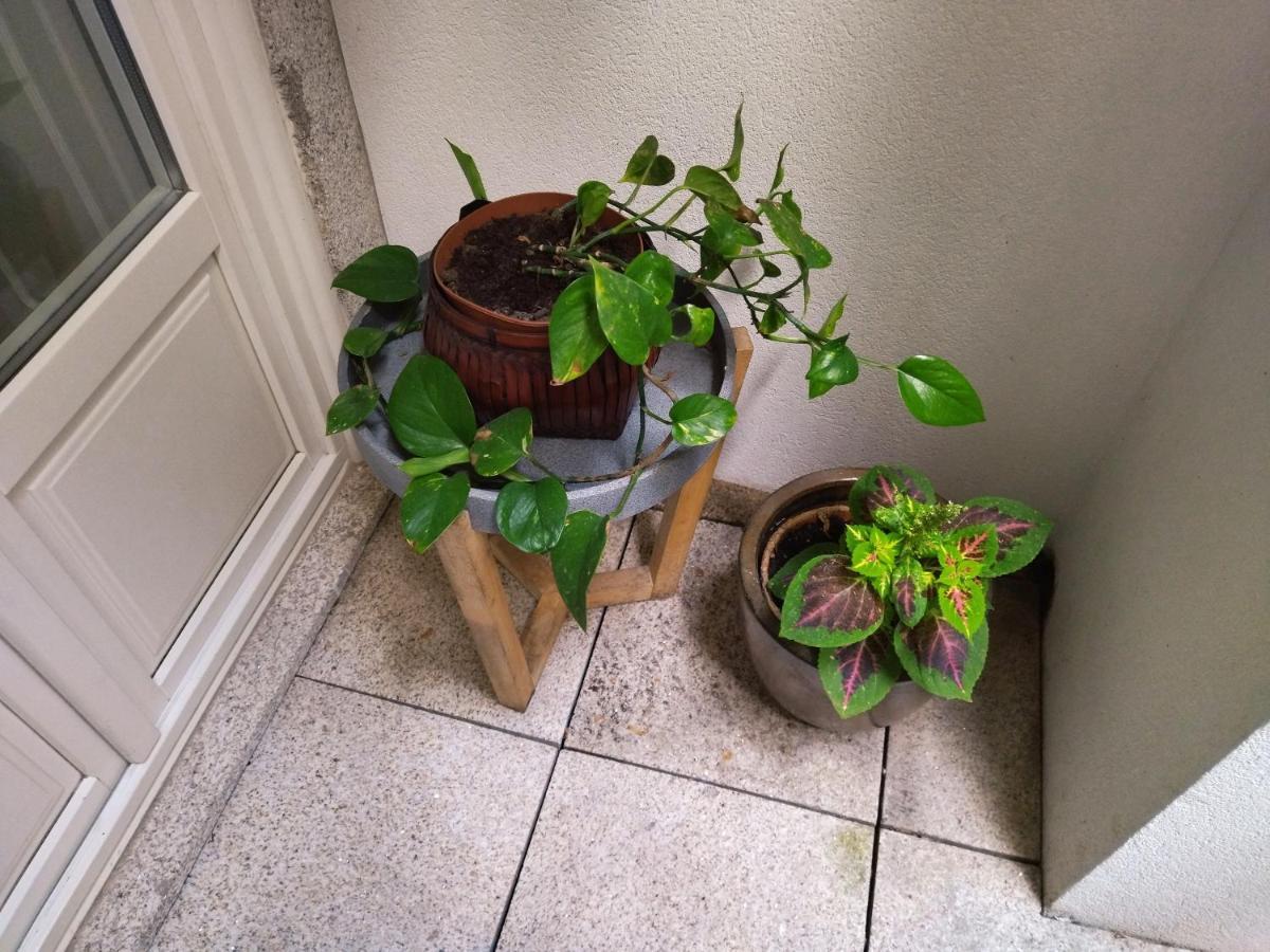 Santa Catarina Patio Apartment - With Washer Machine 포르투 외부 사진